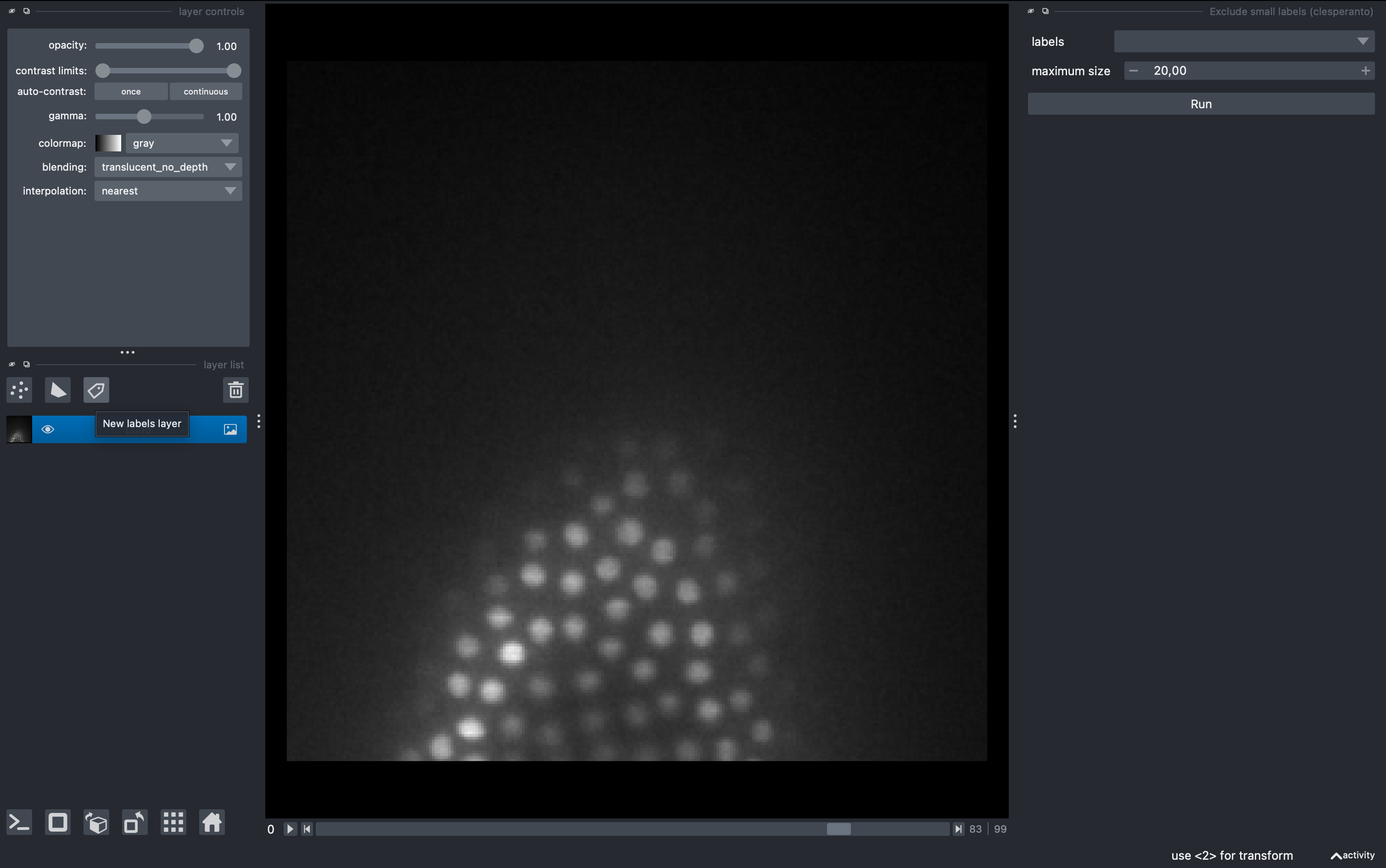 Load image and generate labels layer