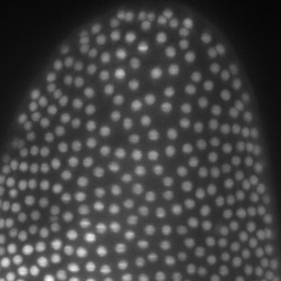 Brightness/Contrast histogram