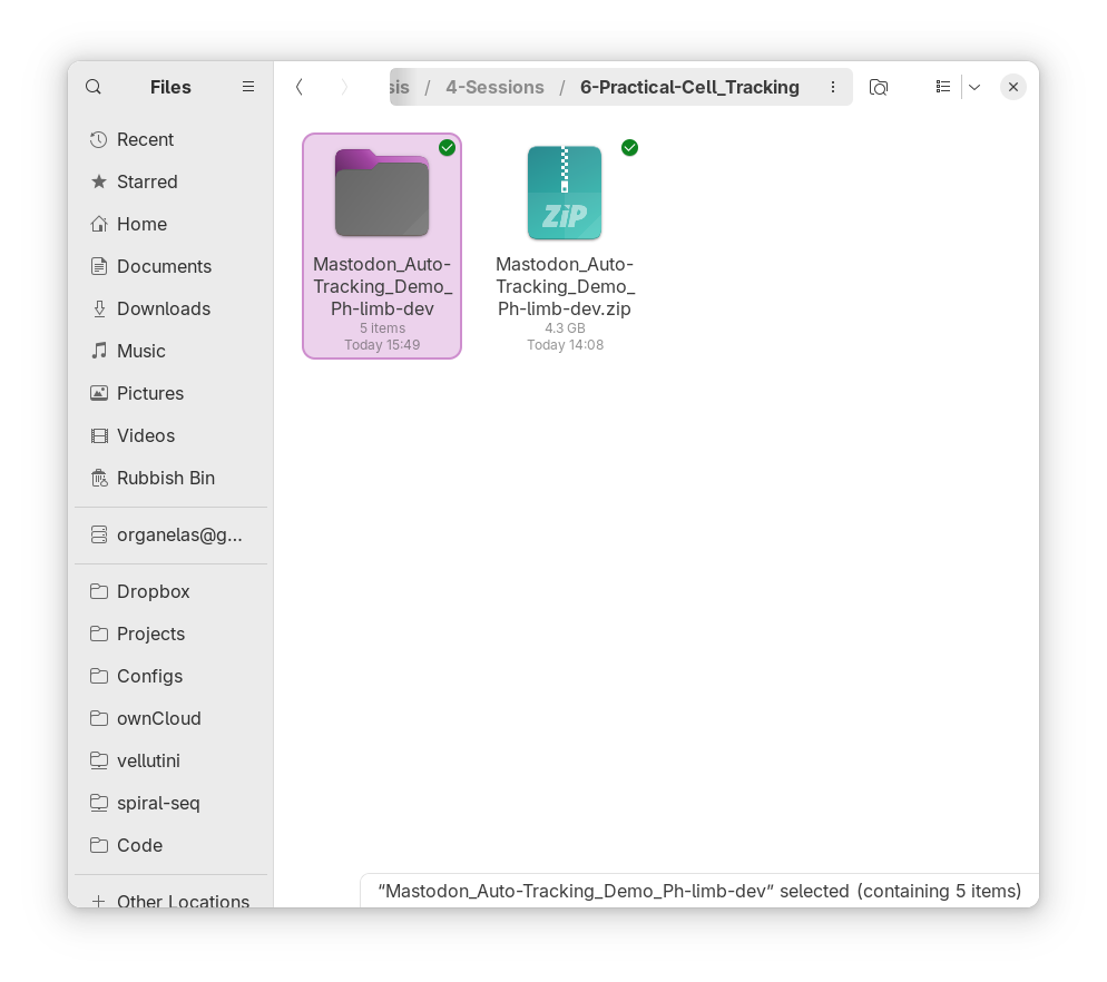 Working directory after downloading and unzipping the dataset file.