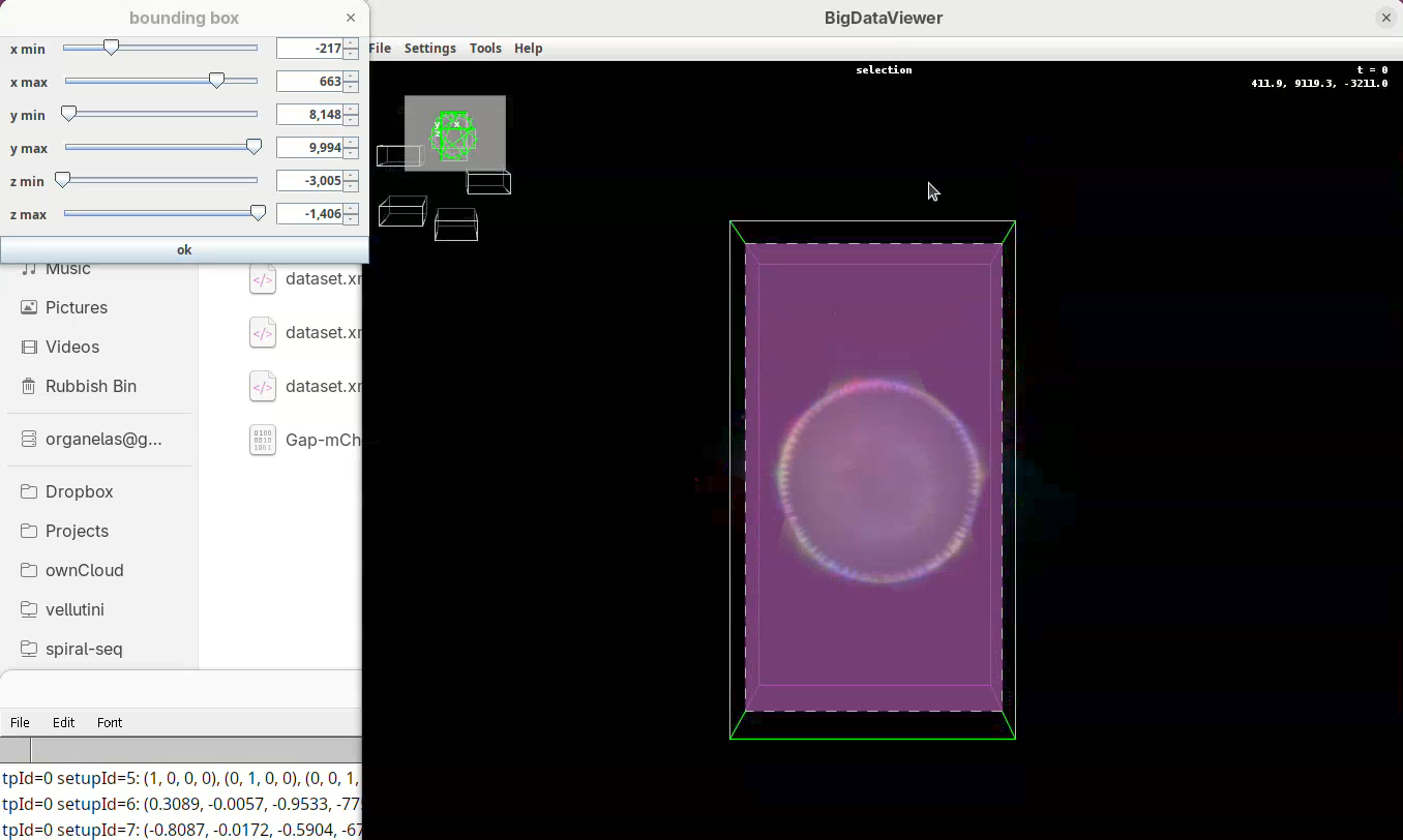Multiview reconstruction in Fiji using BigStitcher