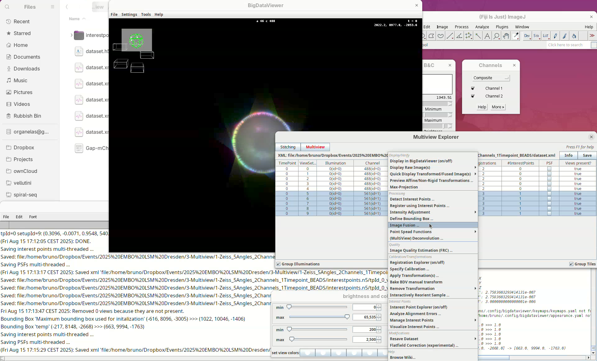 Multiview reconstruction in Fiji using BigStitcher
