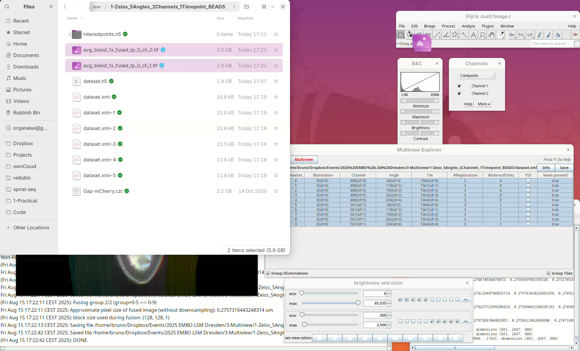 Multiview reconstruction in Fiji using BigStitcher